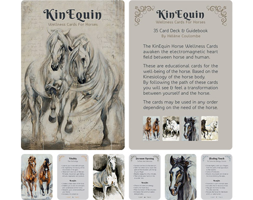 Product Brand Design - KinEquin Wellness Cards