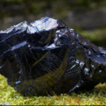 Feature Image