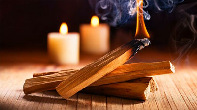 Palo Santo: The Sacred Wood of Purification & Protection