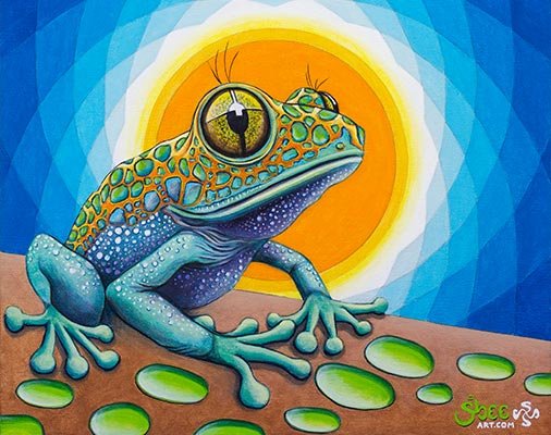 Solar Sapito Medicine - acrylic on canvas - 35 x 35 cm