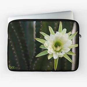 Princess of the Night Cover